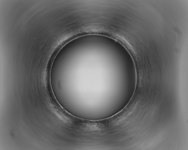 X0000110710439200906121357