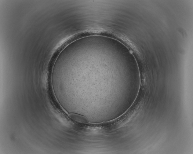X0000110710440200906121357