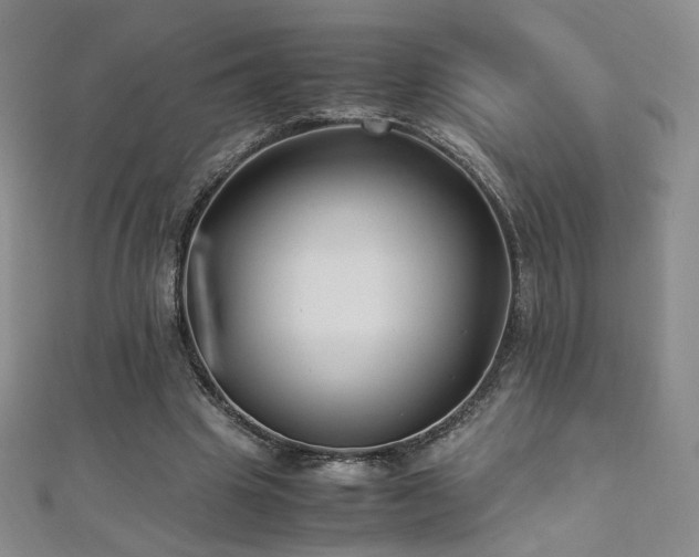 X0000110710441200906121357