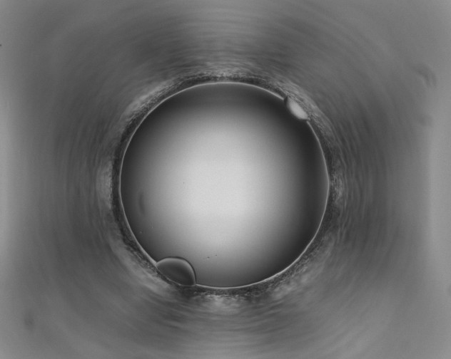 X0000110710442200906121358