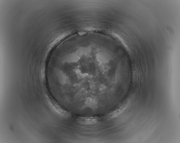X0000110710443200906121358