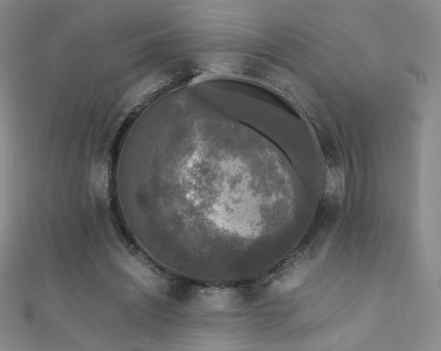 X0000110710444200906121358