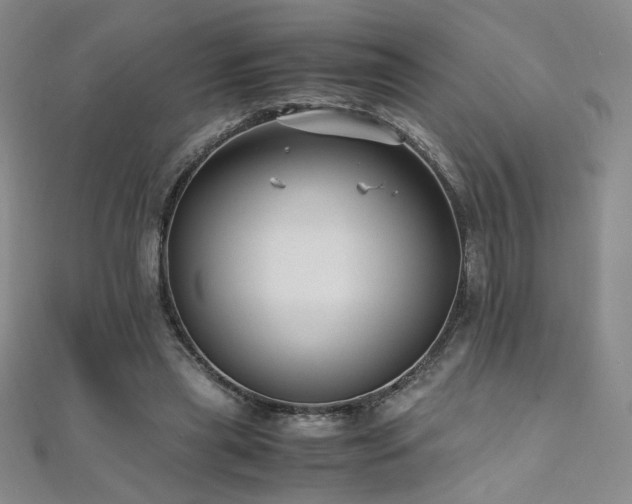X0000110710445200906121358
