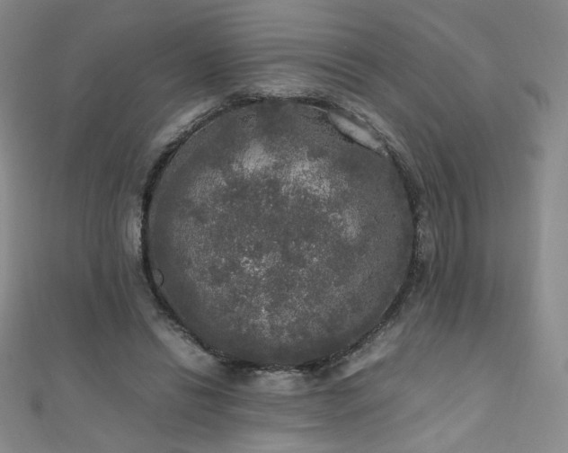 X0000110710446200906121358