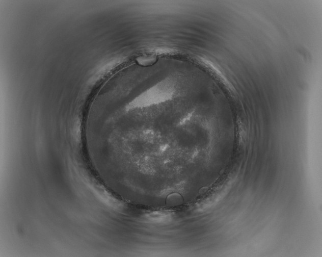 X0000110710447200906121358