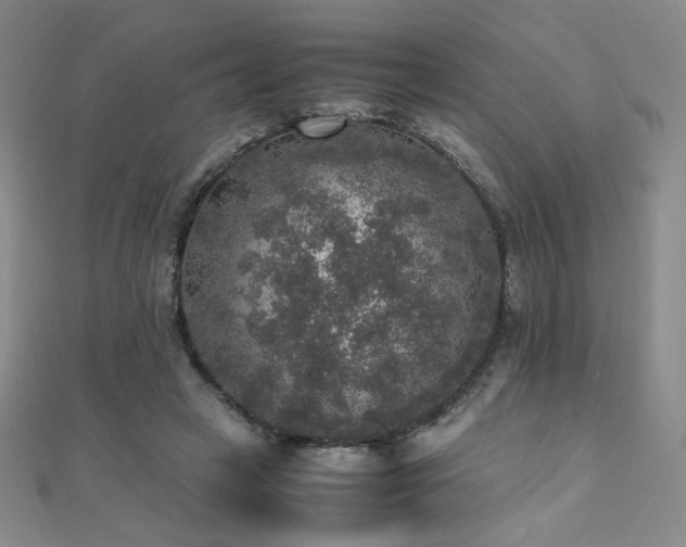 X0000110710449200906121358