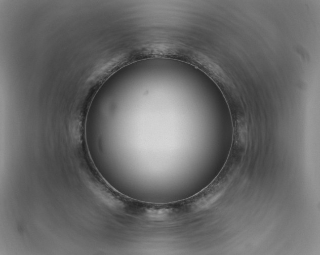 X0000110710450200906121358