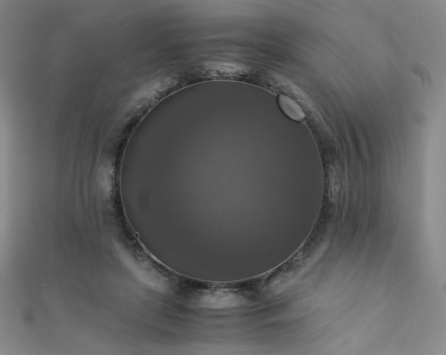 X0000110710451200906121358