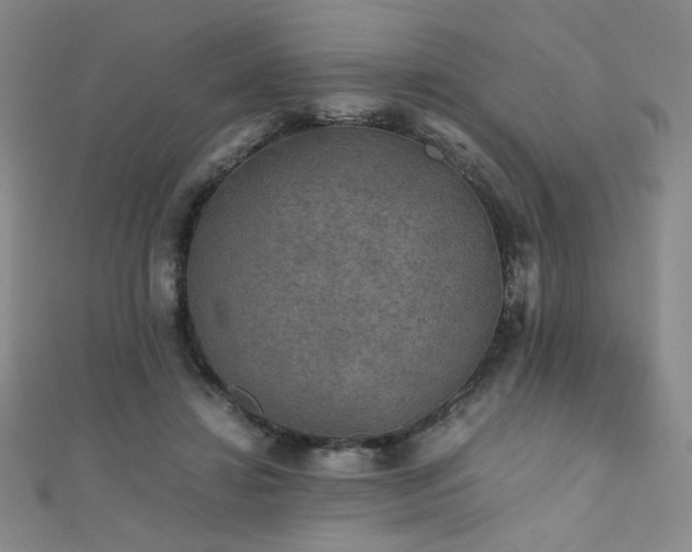 X0000110710452200906121358