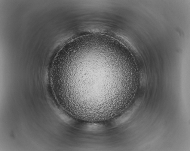 X0000110710453200906121358