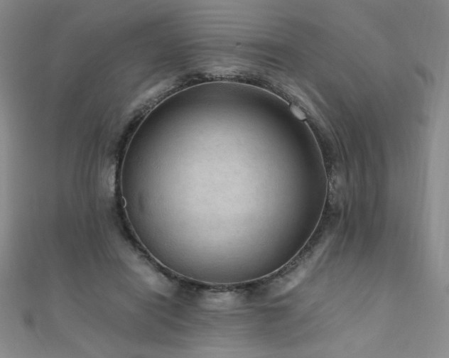 X0000110710454200906121358