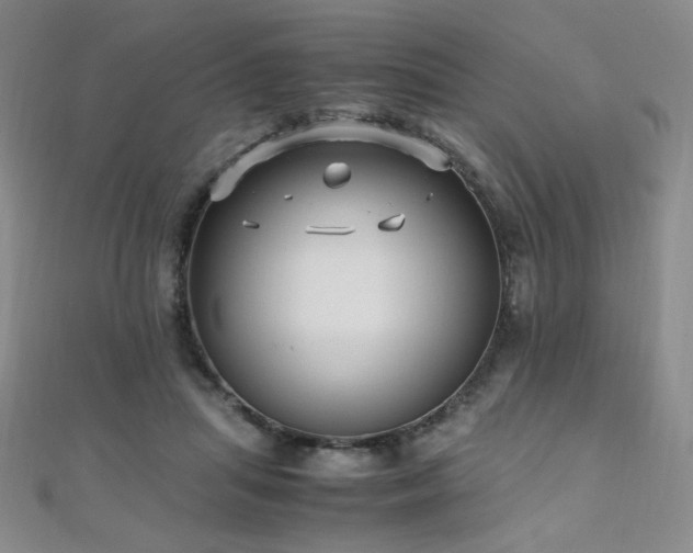 X0000110710455200906121358