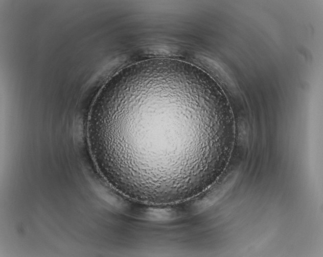 X0000110710457200906121358
