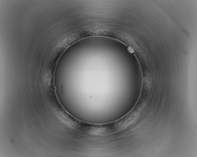 X0000110710458200906121358
