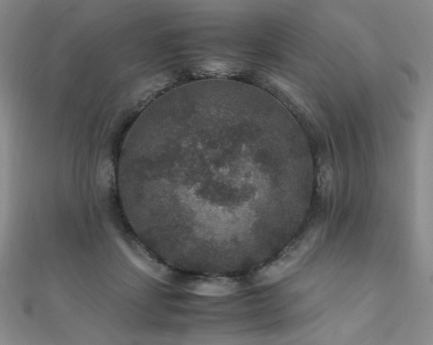 X0000110710459200906121358