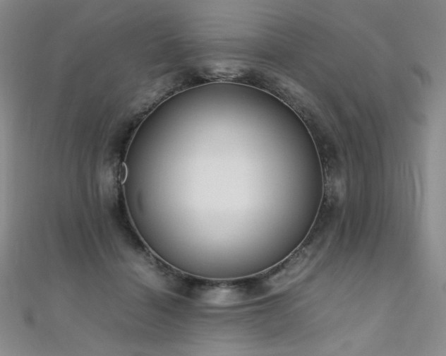 X0000110710460200906121358