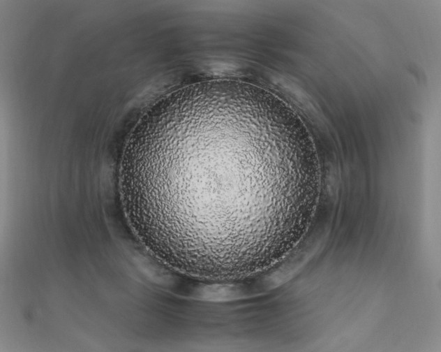 X0000110710461200906121358