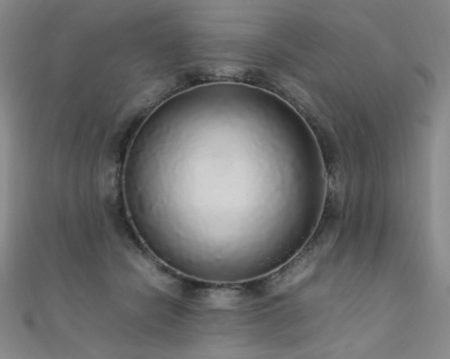 X0000110710462200906121358