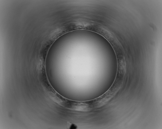 X0000110710463200906121358