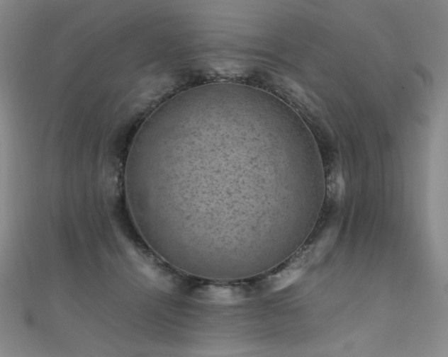 X0000110710464200906121358