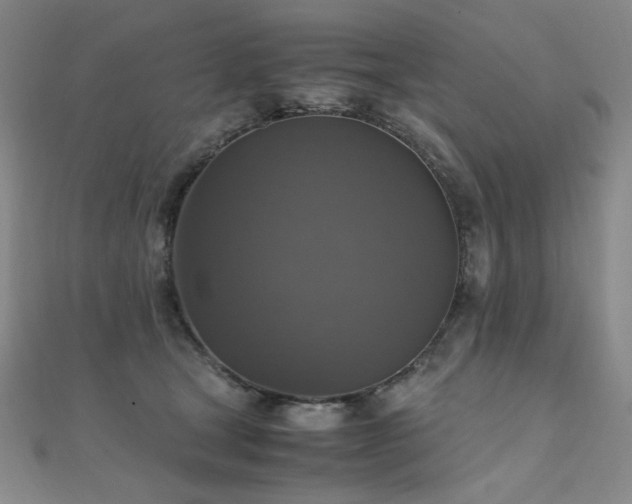 X0000110710465200906121358