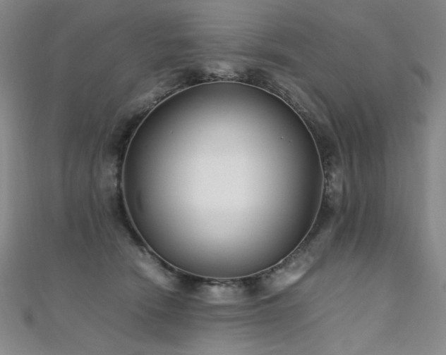 X0000110710466200906121358