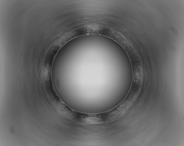 X0000110710468200906121358
