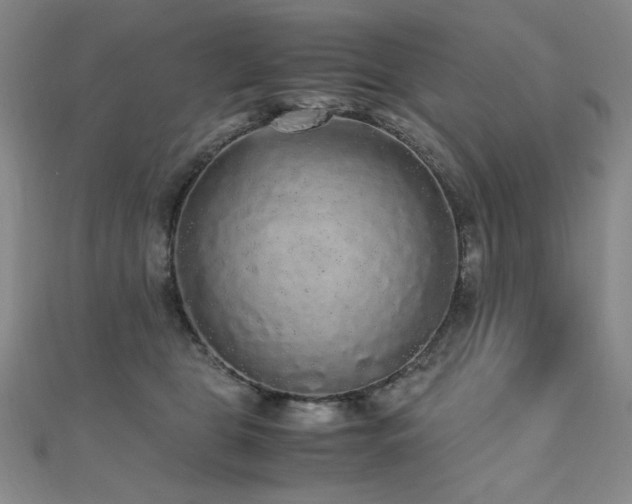 X0000110710469200906121358