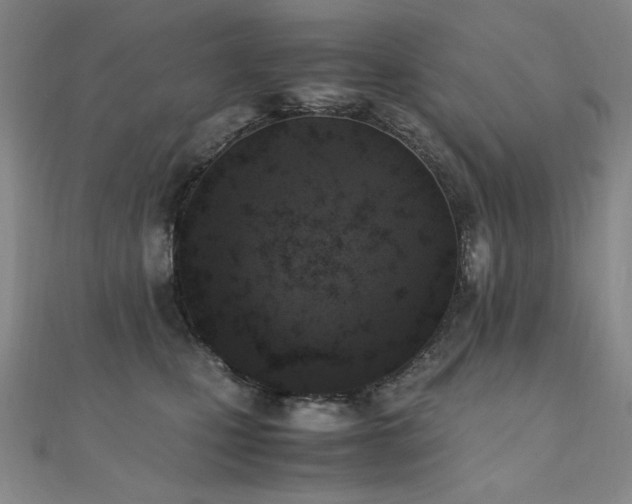 X0000110710471200906121358