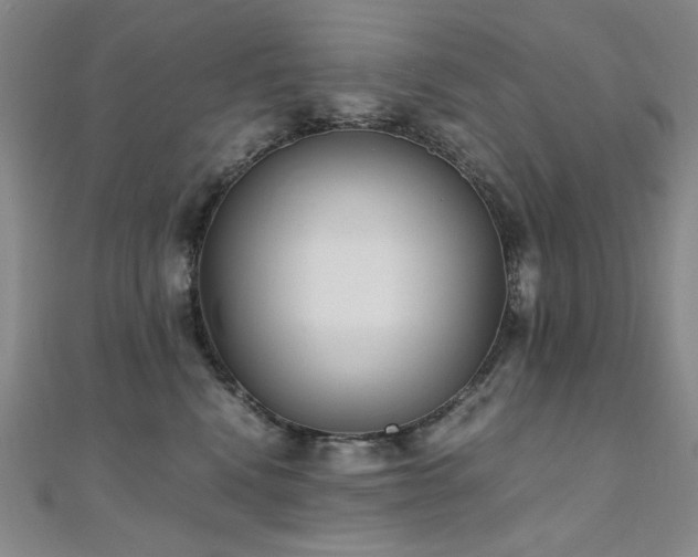 X0000110710472200906121358