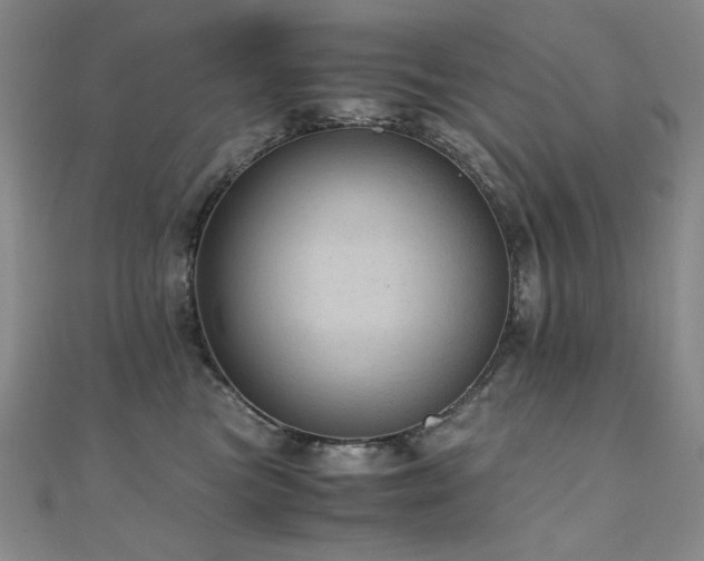 X0000110710473200906121358