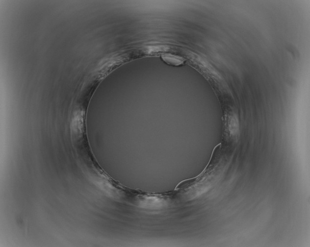 X0000110710475200906121358