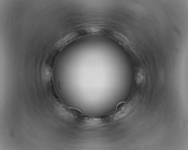 X0000110710476200906121358