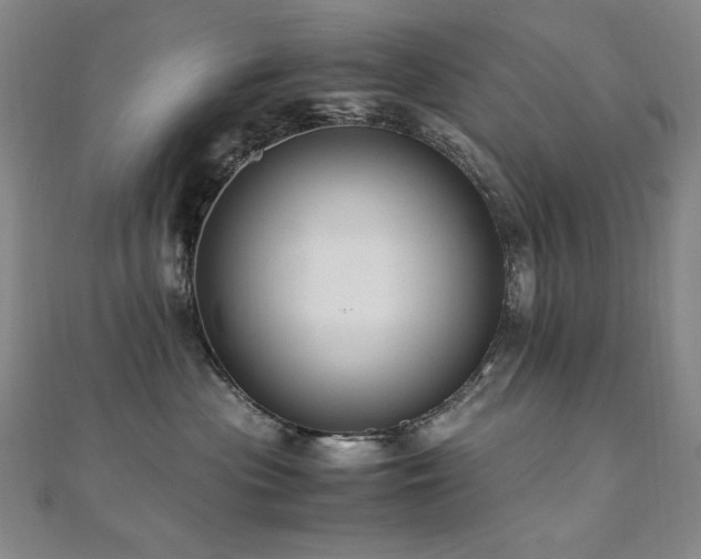 X0000110710477200906121358