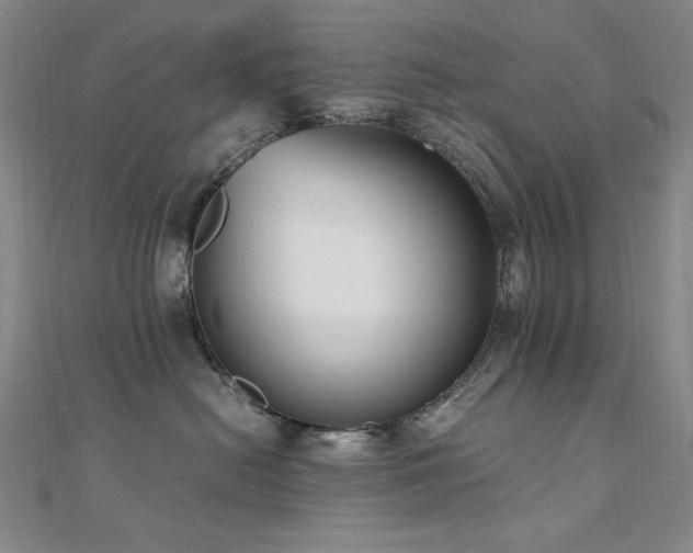 X0000110710478200906121358