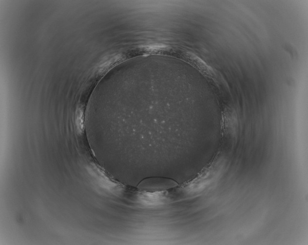 X0000110710479200906121358