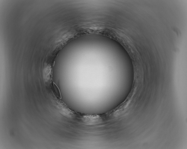 X0000110710480200906121358