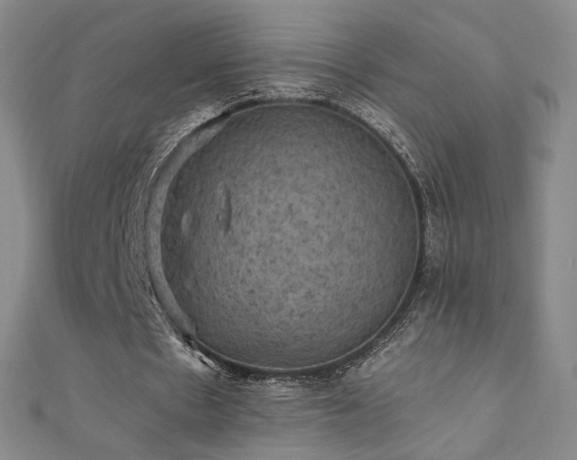 X0000110710481200906121357