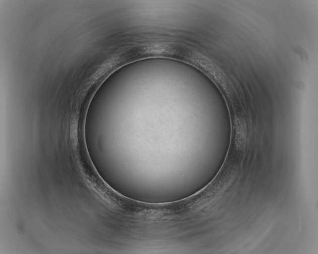 X0000110710482200906121357