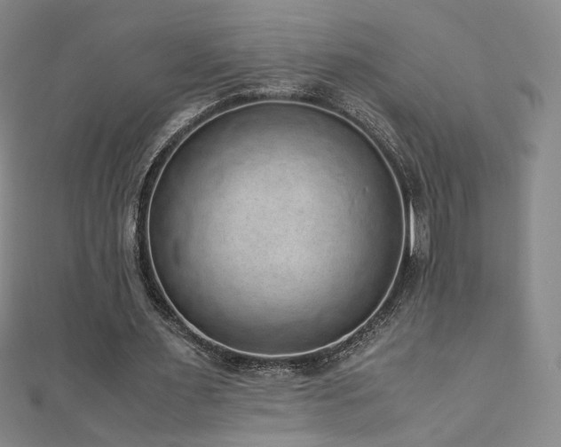 X0000110710483200906121357