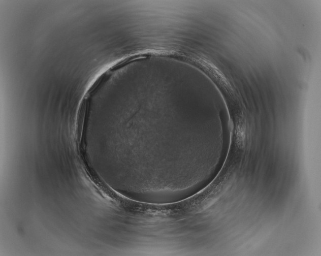 X0000110710484200906121357