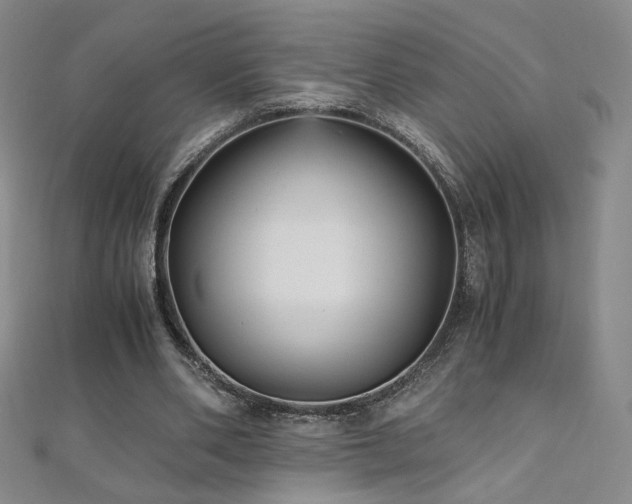 X0000110710486200906121357