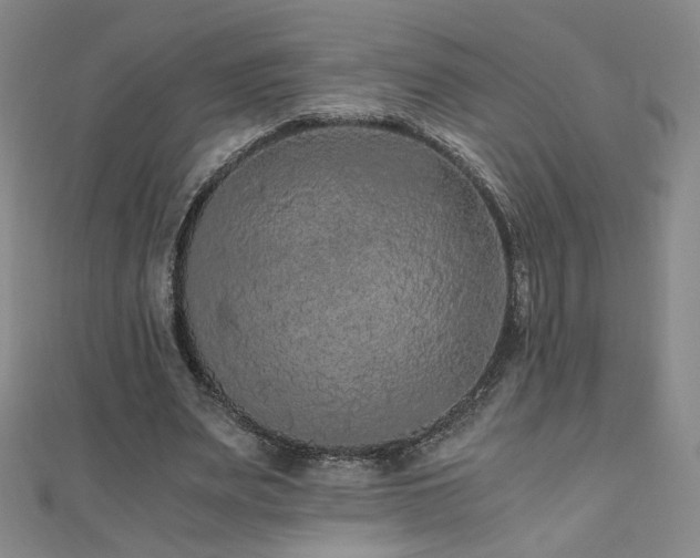 X0000110710487200906121357
