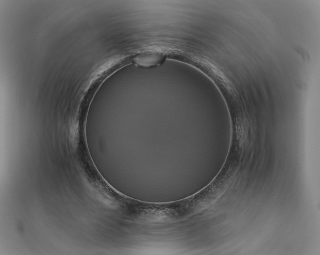 X0000110710488200906121357