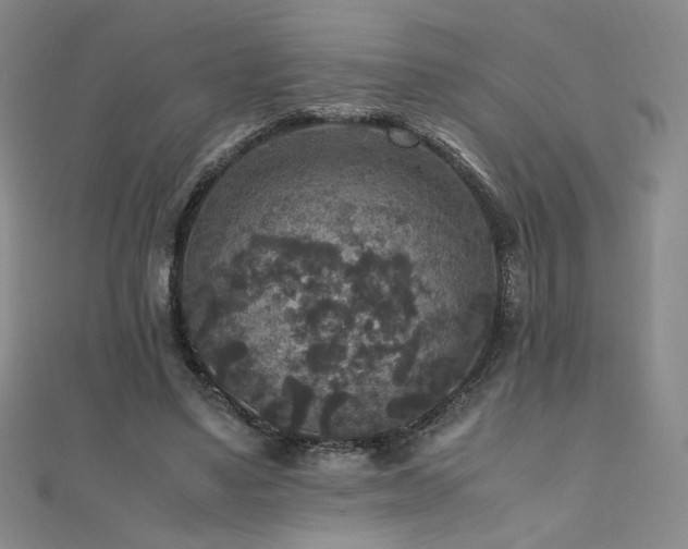 X0000110710491200906121357