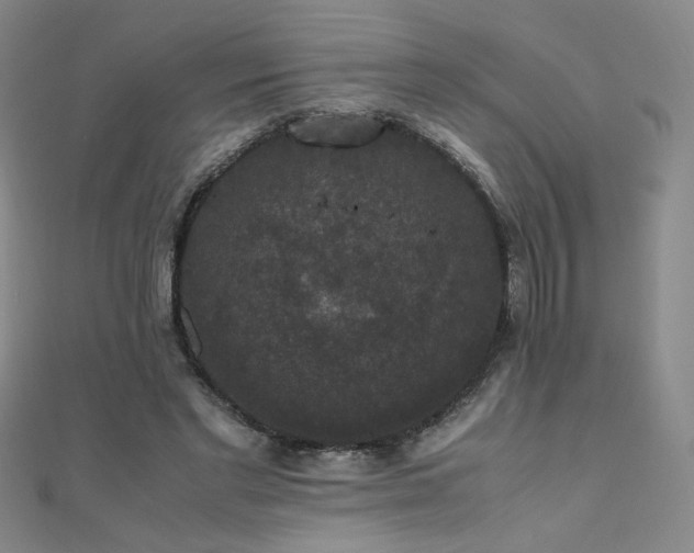 X0000110710493200906121357