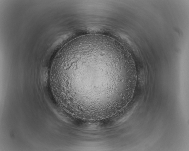 X0000110710495200906121357