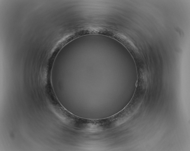 X0000110710496200906121357
