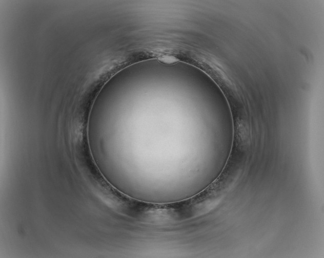 X0000110710499200906121357