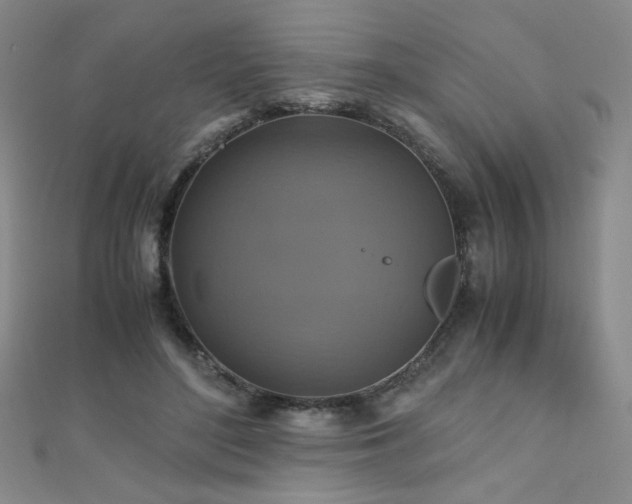 X0000110710500200906121357